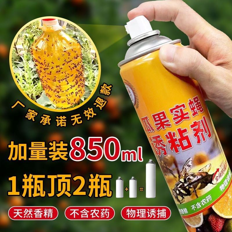 豪之盛瓜果实蝇针蜂诱粘剂昆虫诱捕剂果蝇针蜂药引诱剂果蝇诱捕器