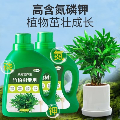 竹柏树肥料兴旺竹专用肥复合营养液船家树山杉大果园艺植物花肥