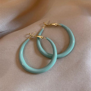 纯银耳钉春天甜美彩色圈圈耳环女新款 耳圈小众设计气质高级感耳饰