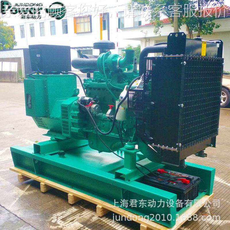 康明斯10KWJD-C150G柴发机组5油 150电KW康明斯发电机组 马拉松无