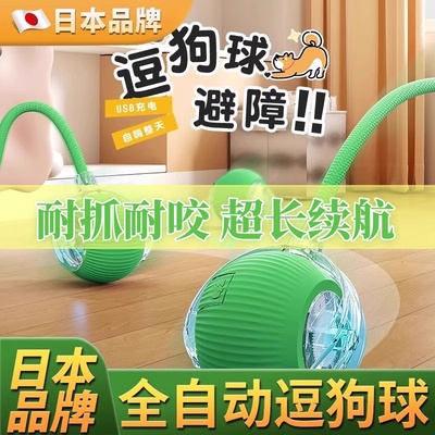 哆啦自动遛狗球宠物玩具