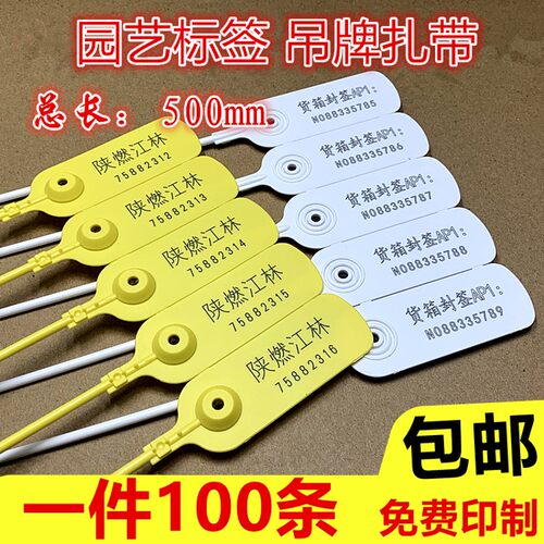 一次性塑料封条油罐车集装箱园林号树船用铅封锁加长标签吊牌扎带