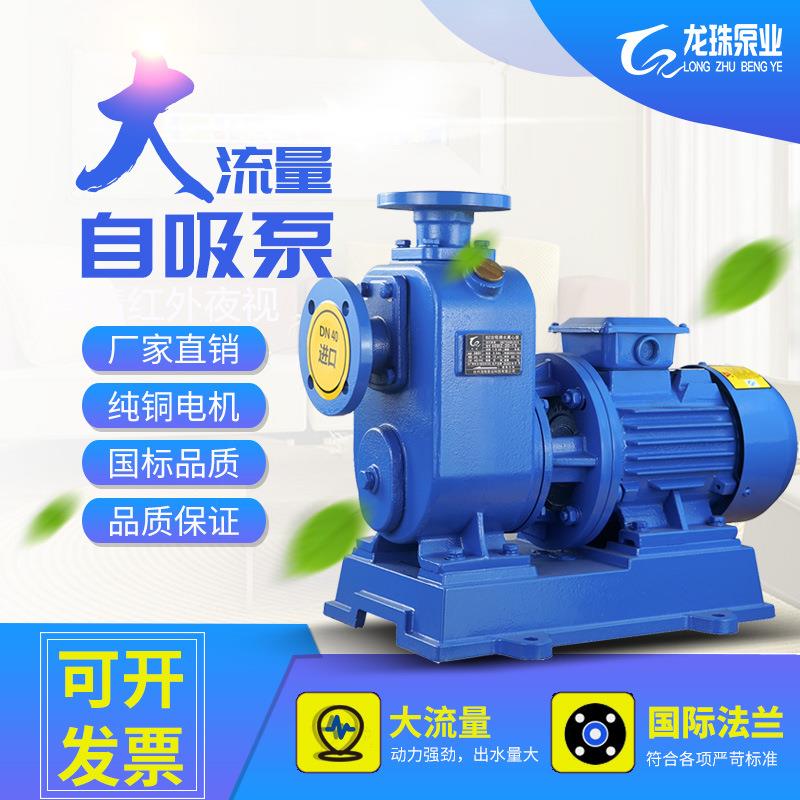 厂家自吸离心泵380v三相管道泵卧式BZ大流量高扬程管道循环泵