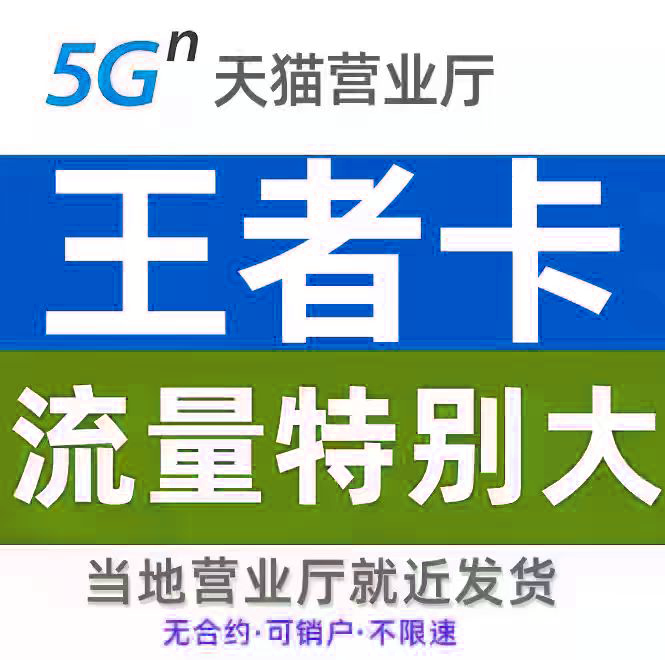 纯流量不可通话