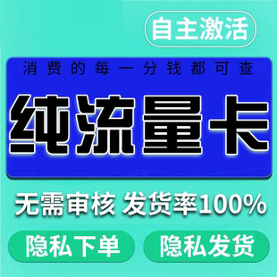 流量卡纯流量上网卡流量无线限物流量网卡手机电话卡大王大流量联