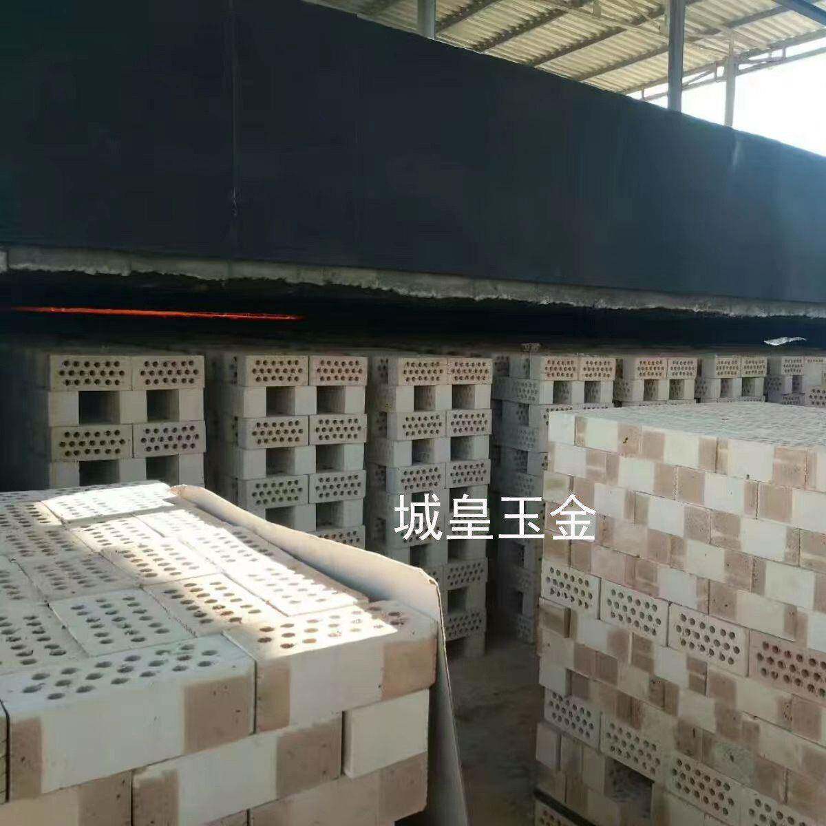 大型全自动红色砖机和砖烤炉隧道窑真空挤出机粘土制砖机生产厂家