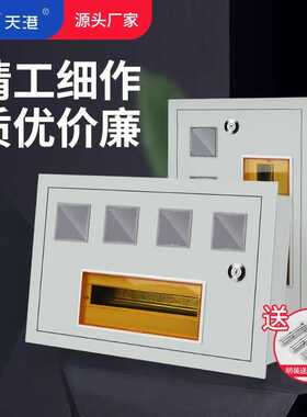PZ40单相电表箱1户配电箱DZ47导轨安装家用明装单C45户外防雨