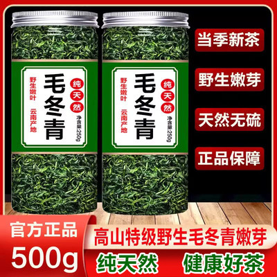 毛冬青云南野生茶官方正品特级嫩小叶苦丁茶叶中药材的功效养生茶