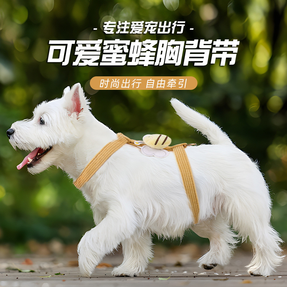 小蜜蜂牵引绳防挣脱外出专用小型犬猫咪可爱风狗狗胸背带多巴胺