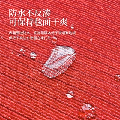 入户门地垫高级感进门门口地毯免洗防滑门外脚垫2025新款耐脏家用