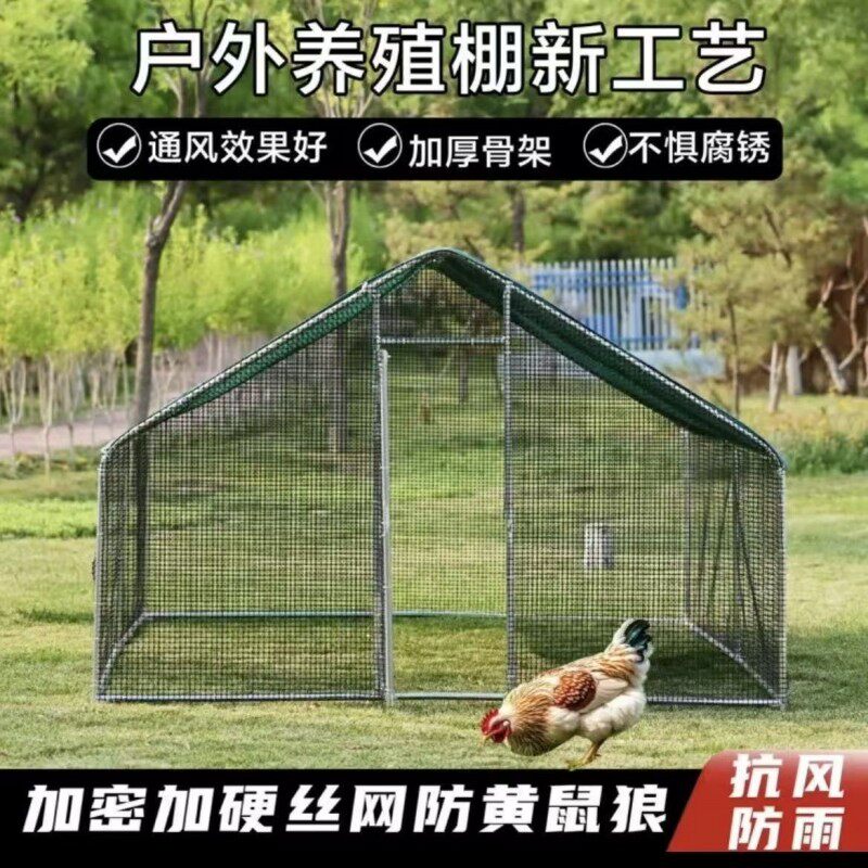 户外大型鸡棚鸭笼防雨棚围栏网鸽笼子养殖棚钢管篷养殖笼散养厂家