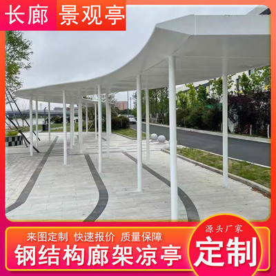 不锈钢廊架雕塑城市广场园林大型钢结构长廊凉亭金属摆件景观廊架