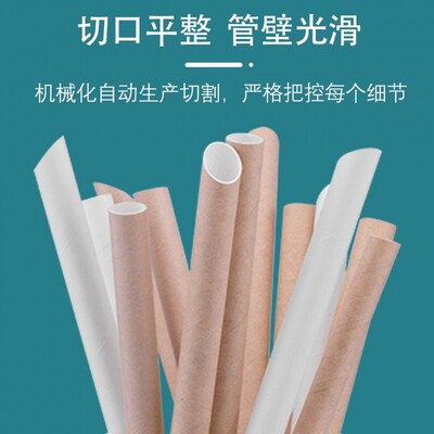 整箱纸吸管独立包装一次性吸管奶茶吸管咖啡吸管食品吸管100根/包