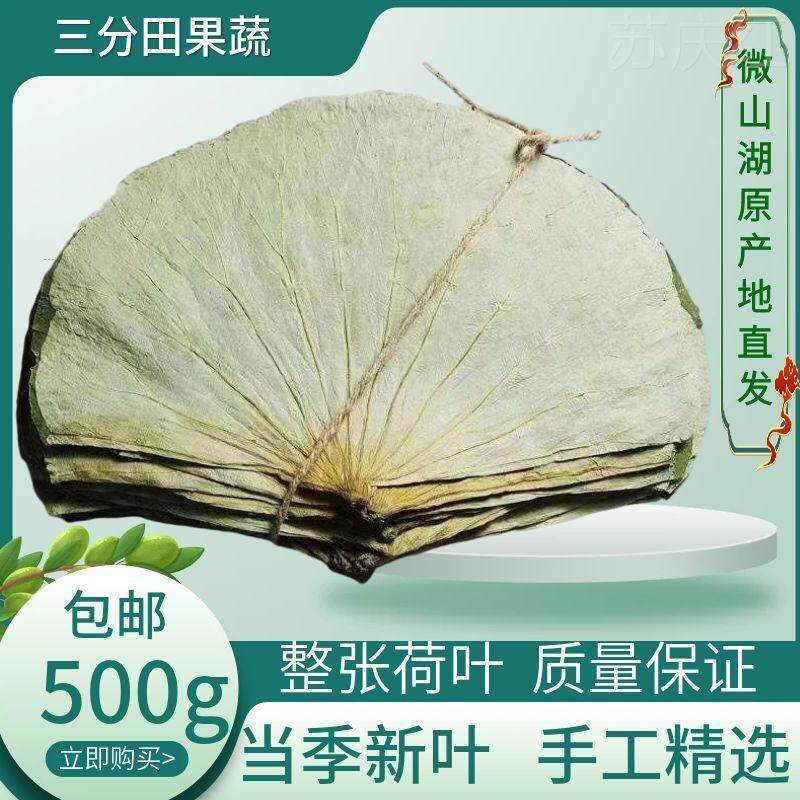 微山荷叶整张荷叶茶荷叶片干荷叶糯米鸡荷叶鸡荷叶饭荷叶整张