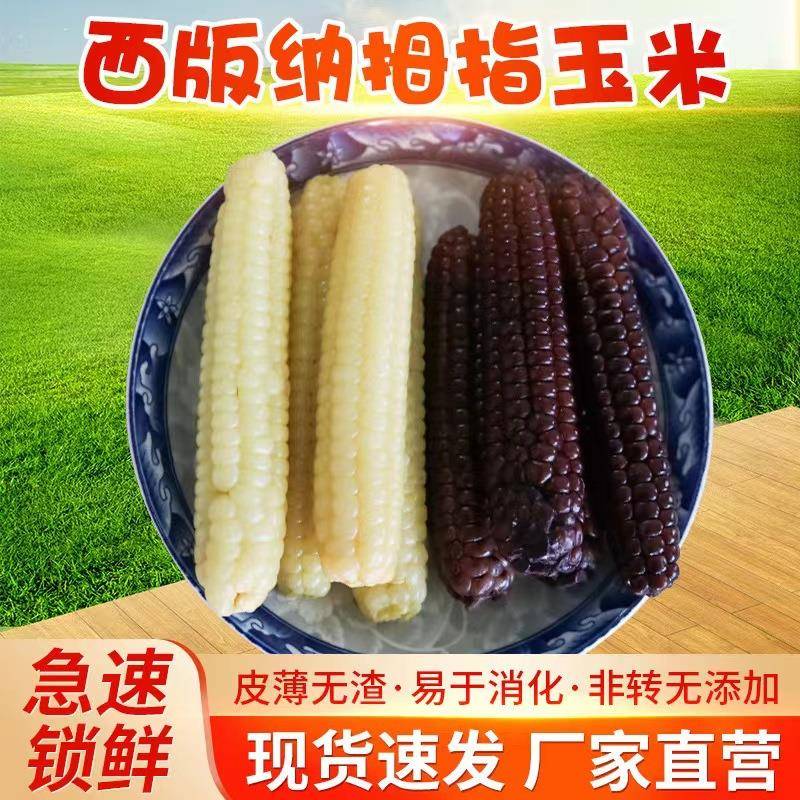 云南西双版纳拇指小玉米二级品 软糯香甜 儿童简餐易消化