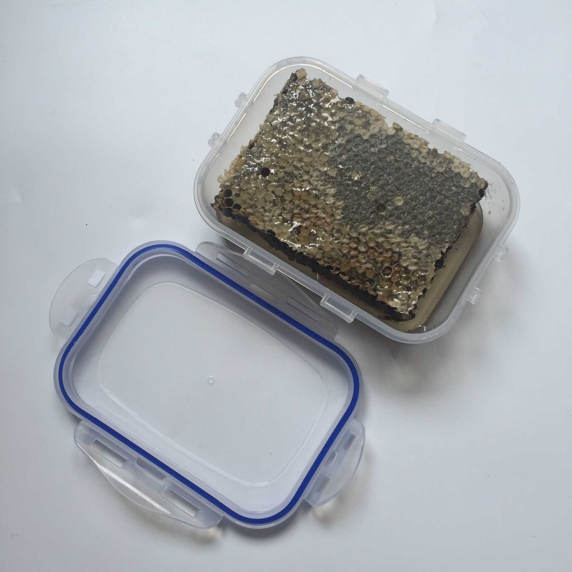 蜂巢蜜 蜂巢蜜自产农家蜂蜜 切割成熟老巢蜜500g盒装