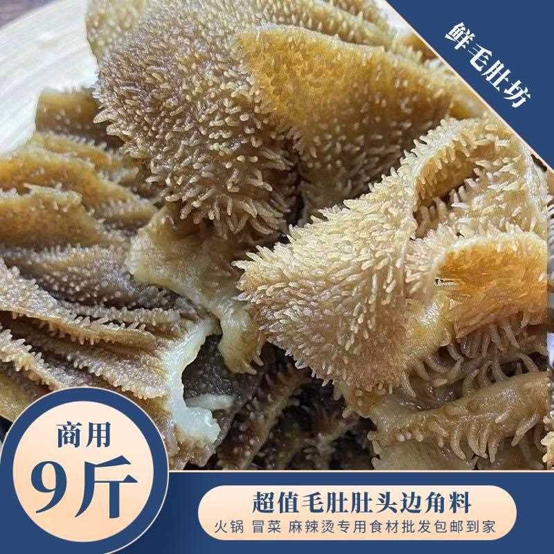 毛肚商用边角料五斤牛百叶千层肚新鲜水发火锅串串食材牛肚丝