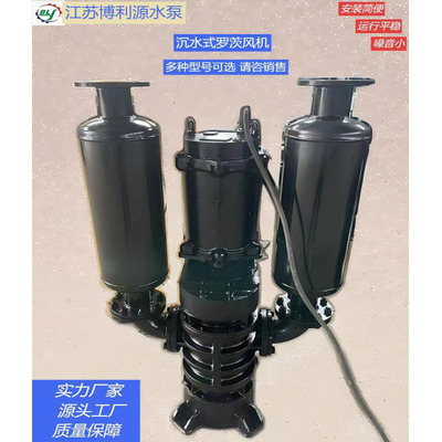 博利源沉水式罗茨鼓风机河道治理污水处理沉水风机节能高效送风