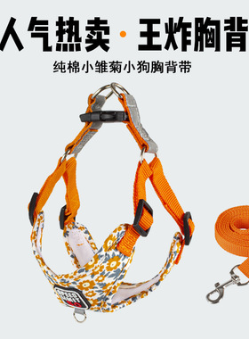 宠物用品透气狗狗胸背带遛狗印花狗绳小中型犬新款批发宠物牵引绳