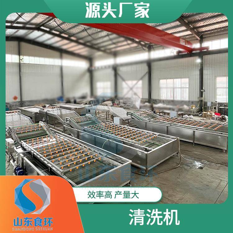 莴笋高压喷淋果蔬清洗机蔬菜气泡清洗机大枣枸杞清洗机厂家