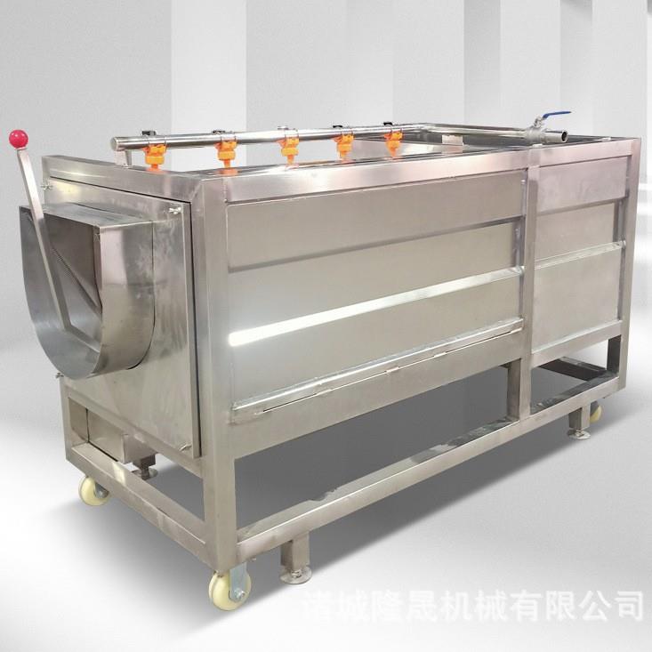 家用山楂冲浪式气泡清洗机石榴专业水浴式自动清洗无损坏