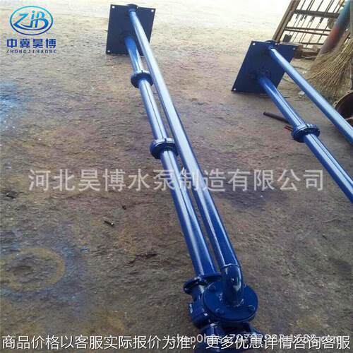 杆泵双管无堵塞液下排污泵 8050-10-3立式污水处理增压泵