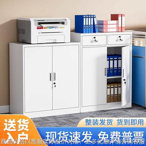 钢制文件柜办公室资料档案凭证收纳储物柜带锁二斗铁皮打印机矮柜