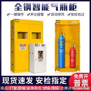 气瓶柜安全柜全钢防爆乙炔氢气氮气煤气罐实验室储存双瓶钢瓶柜子