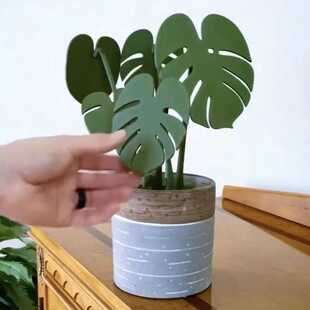 Monstera coaster plant  龟背竹杯垫植物带磁铁3D打印爆款
