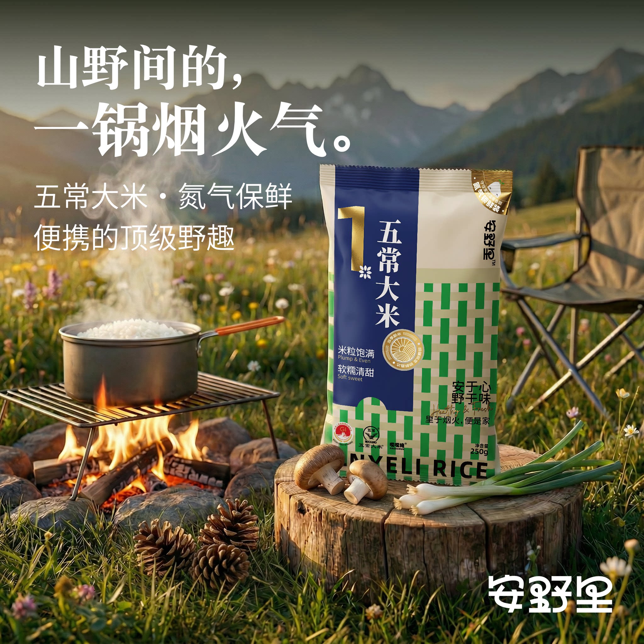安野里东北五常大米当季新米户外露营便携小袋米250g速煮充氮防潮