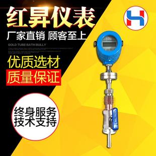 质量流量计空气流量计 宽量程测气体流量计插入式