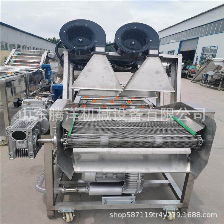 水果蔬菜气泡清洗机全自动洗菜机生产厂果蔬加工成套设备,清洗/食品/商业设备,其他食品加工设备,淘宝优惠券,粉丝福利购,淘宝优惠卷