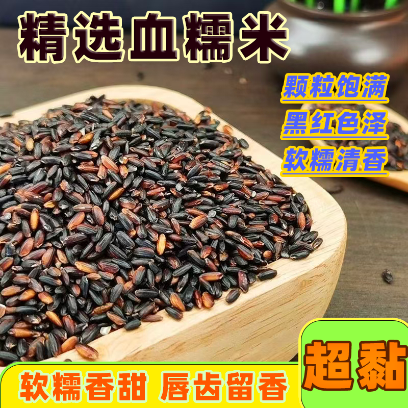 正宗东北黑米紫米血糯米杂粮米新鲜五谷杂粮新米煮粥煮饭包粽子
