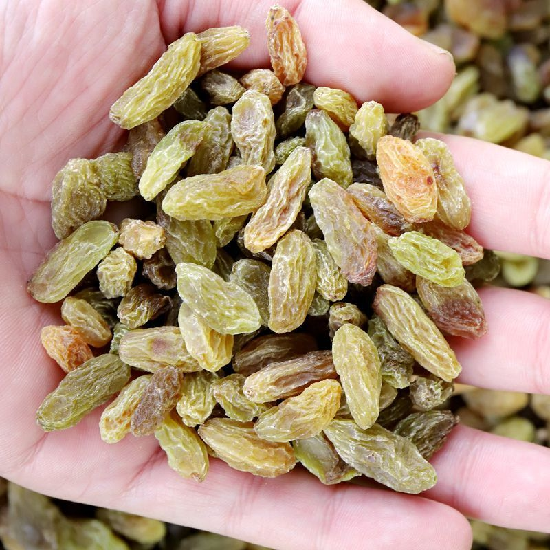 新货新疆吐鲁番特产无核白葡萄干大颗粒葡萄干蜜钱果干零食批发