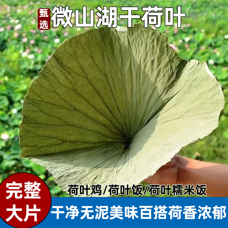 荷叶微山湖商用整张野生荷叶茶大张片干糯米鸡叫花蒸笼批发手工