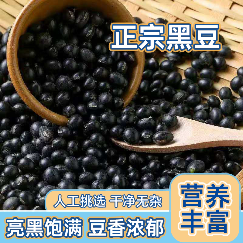 新黑豆特价黑豆打豆浆专用黑豆打豆浆醋泡生豆芽农家散装杂粮批发