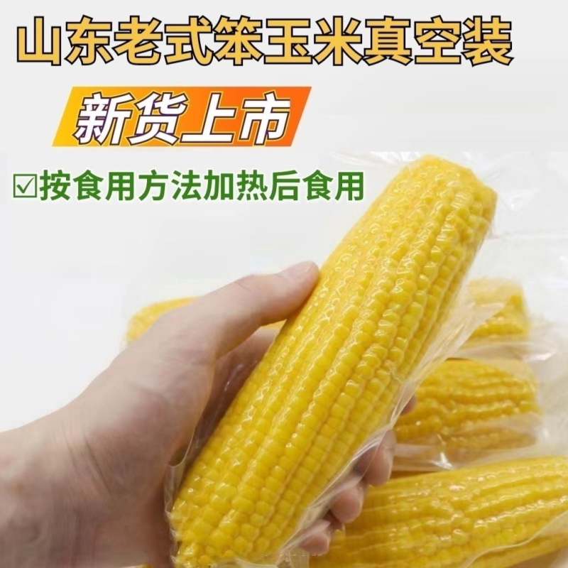 老品种笨玉米真空老式黄玉米一整箱儿时味道有嚼劲老玉米粗粮代餐