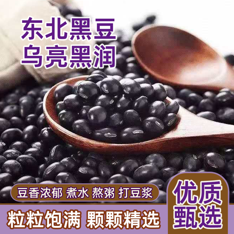 精选250克黄心黑豆优质黑豆纯天然杂粮打豆浆醋泡黑豆发豆芽批发