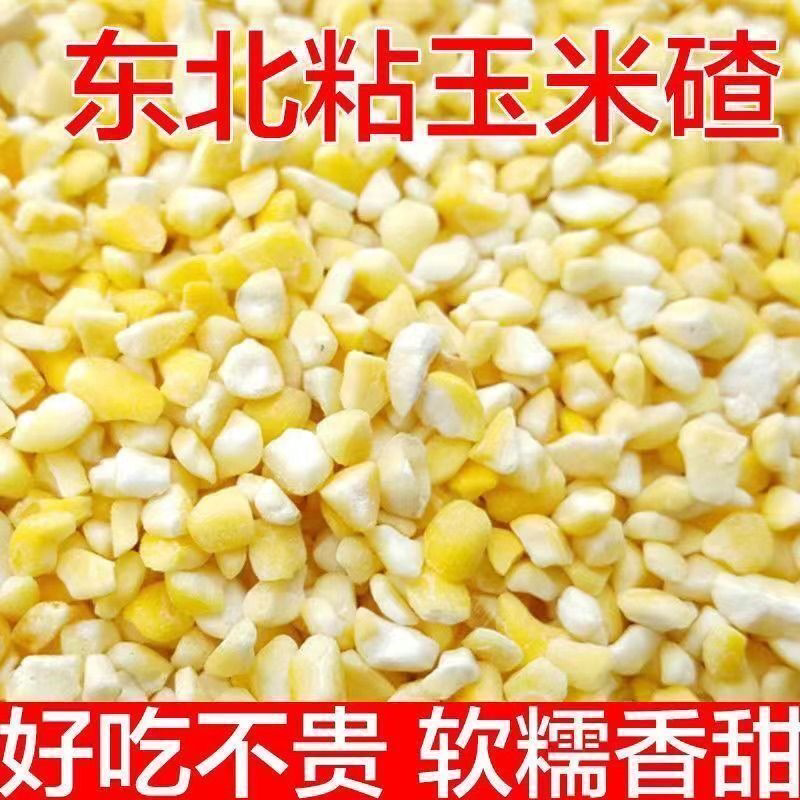 东北粘大碴子黄粘玉米碴子新米正宗玉米去皮糯玉米糁新鲜农家现磨