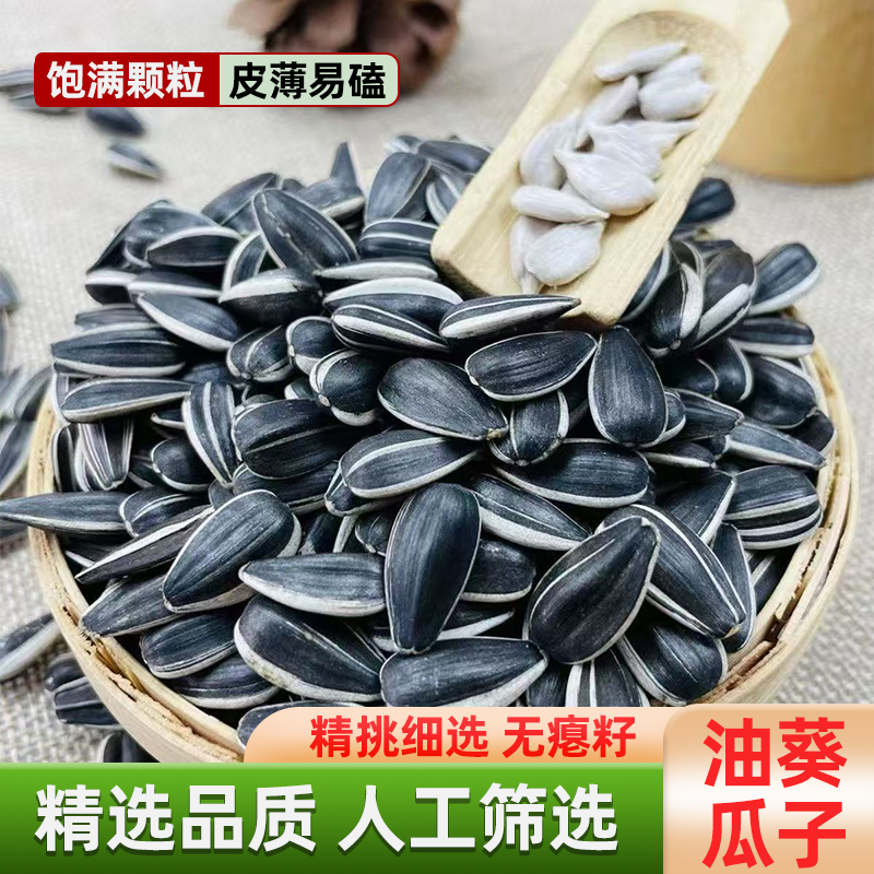 内蒙黑珍珠新货瓜子油葵花籽油葵五香原味炒货奶香味生熟零食批发