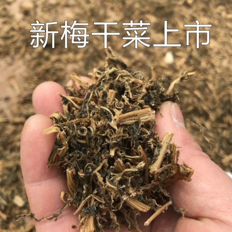 正宗浙江梅干菜特产农家霉干菜干货梅菜扣肉梅菜散装烧饼商用批发