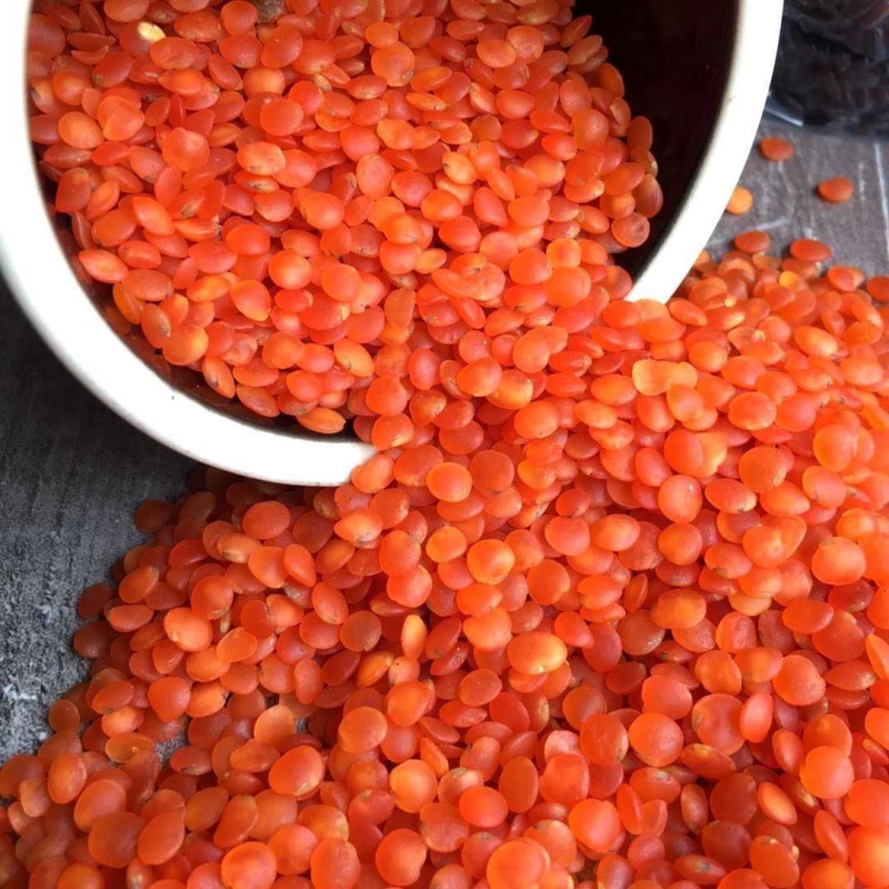 小扁豆正宗红色小扁豆马粟豆新红扁豆农家新鲜散装杂粮粗粮批发