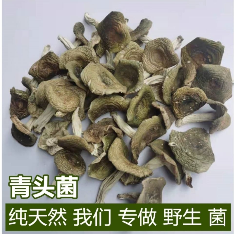 纯野生青头菌正宗野菌蘑菇青菇绿豆野生梨菇类干货新鲜湖南特