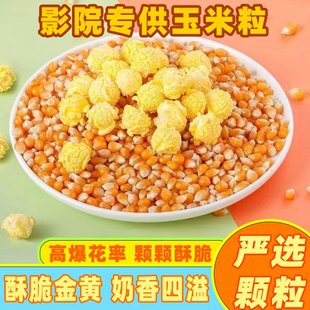 爆米花玉米粒玉米专用家用自做电影院爆裂原料球形商用源头批发