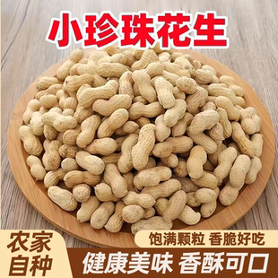 25年净重新货农家铁锅柴火炒花生小珍珠花生红皮带壳原味炒熟零食