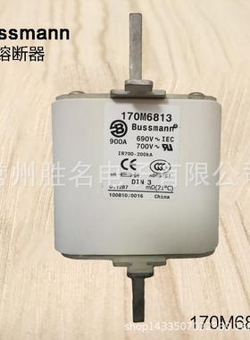 170M8610170M8650保险丝管