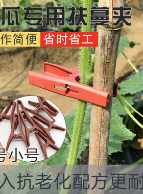 冬瓜夹子塑料夹苦瓜夹丝瓜园林夹植物绑枝扶蔓夹罗汉果固定夹子