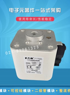 快速熔断器保险丝170M6485 6486 6494 6495 6496 6497 6498 6499