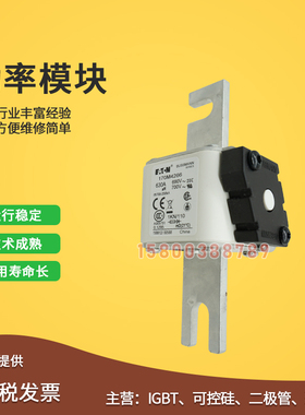 170M4266/4267/4268/4269/4308/4309/4310/4311快速保险丝熔断器