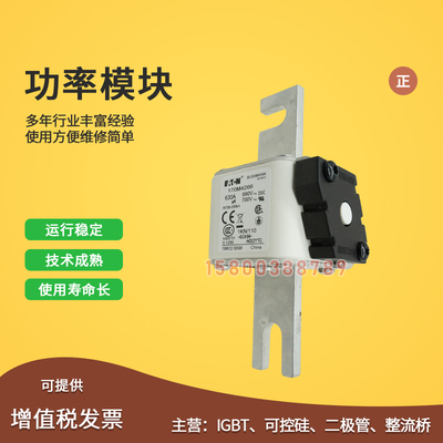 170M4266/4267/4268/4269/4308/4309/4310/4311快速保险丝熔断器